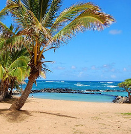 lydgate_beach_park.jpg
