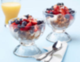 YogurtGranolaBowl_preview.jpeg