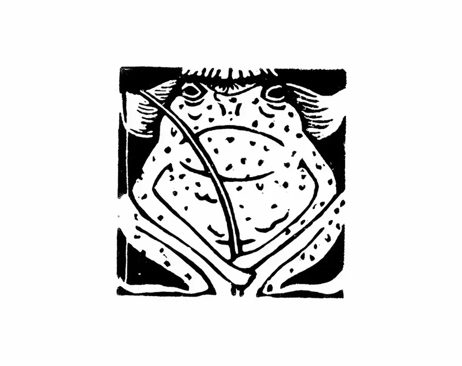 linogravure carré noir et blanc, crapaud, grenouille, pêche, peucheur, canne à pêche, chapeau, marécage, mignon, animal drôle, boudeur