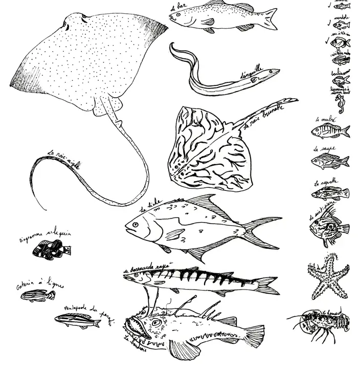 Dessin de poissons au marqueur noir fin