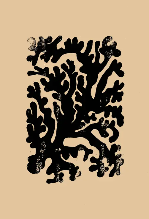Algue noire graphique