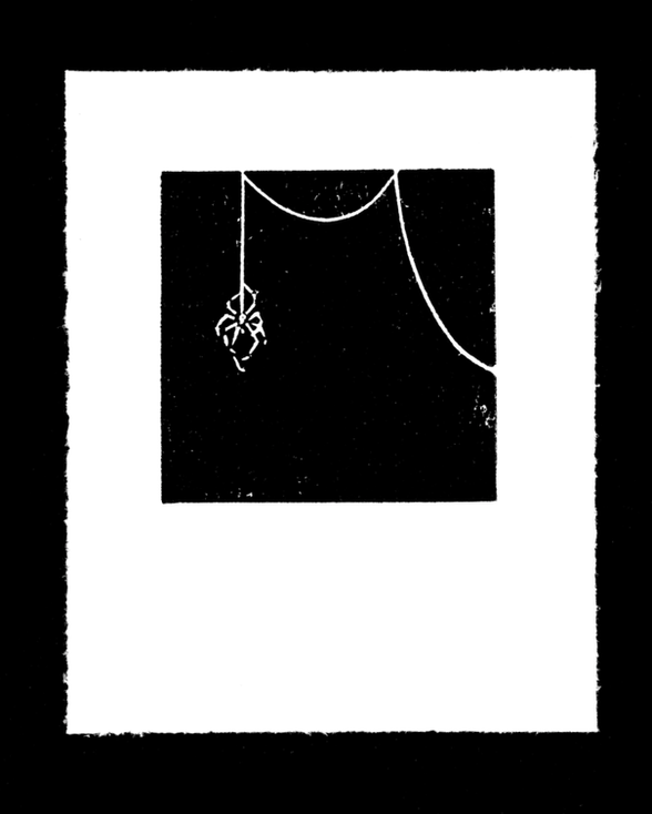 20. Araignée