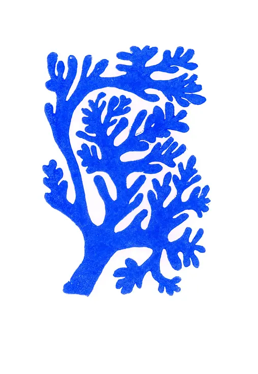 Algue bleue graphique
