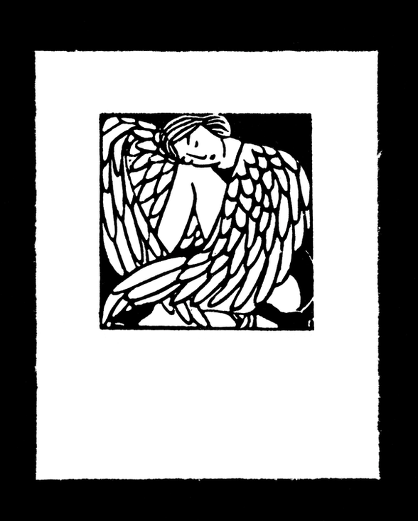 27. Métamorphose