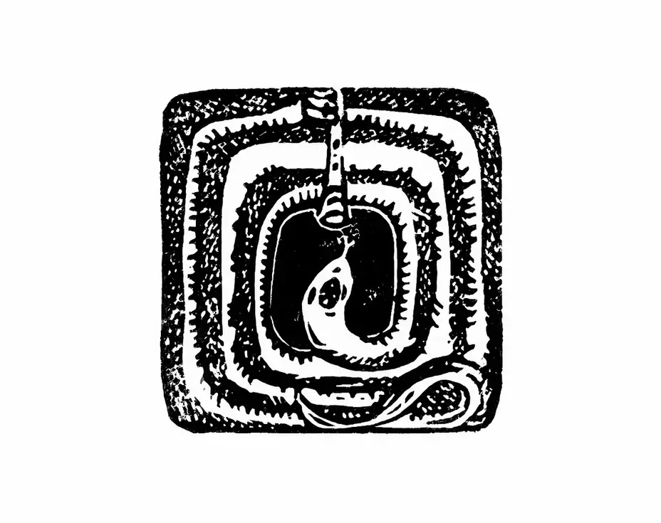 lingravure carré noir et blans, serpent, envoutement, enchantement, spirale, flûte, musique, charmeur de serpent, reptile, illustration