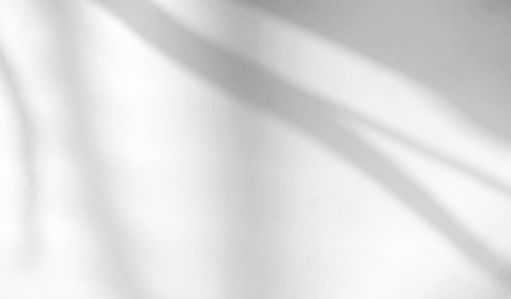 tropical-leaves-natural-shadow-overlay-white-texture-background-overlay-product-presentati