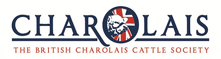 Charolais.png