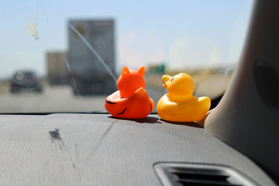 a completely ordinary image of two ducks sitting on the dash of a car, looking out the window