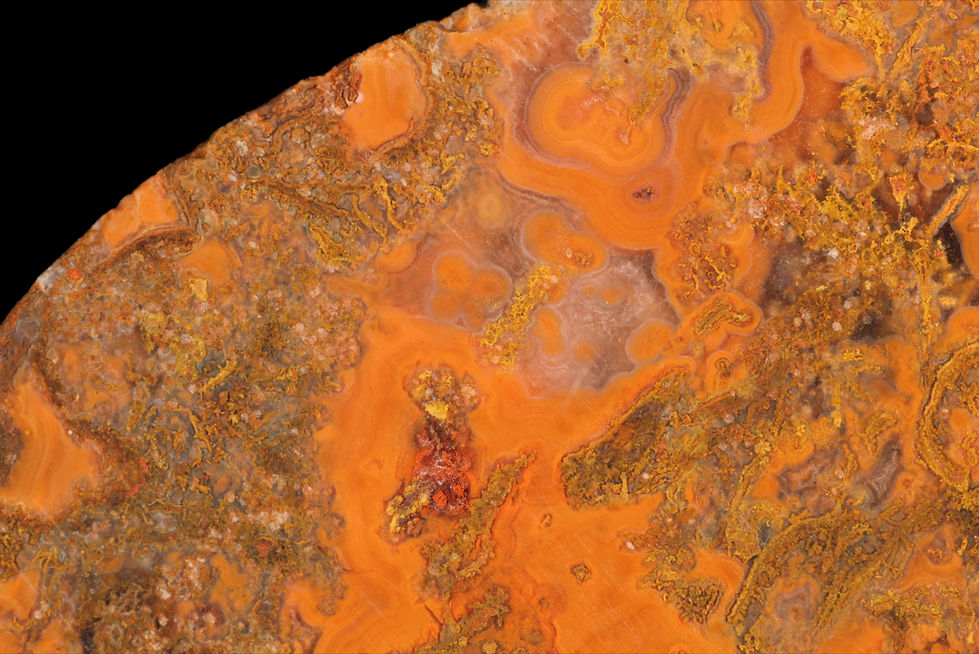 Angus Coast Moss 001 (2).jpeg