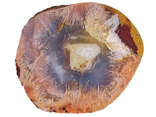 IMG_20210810_140555 (2).png