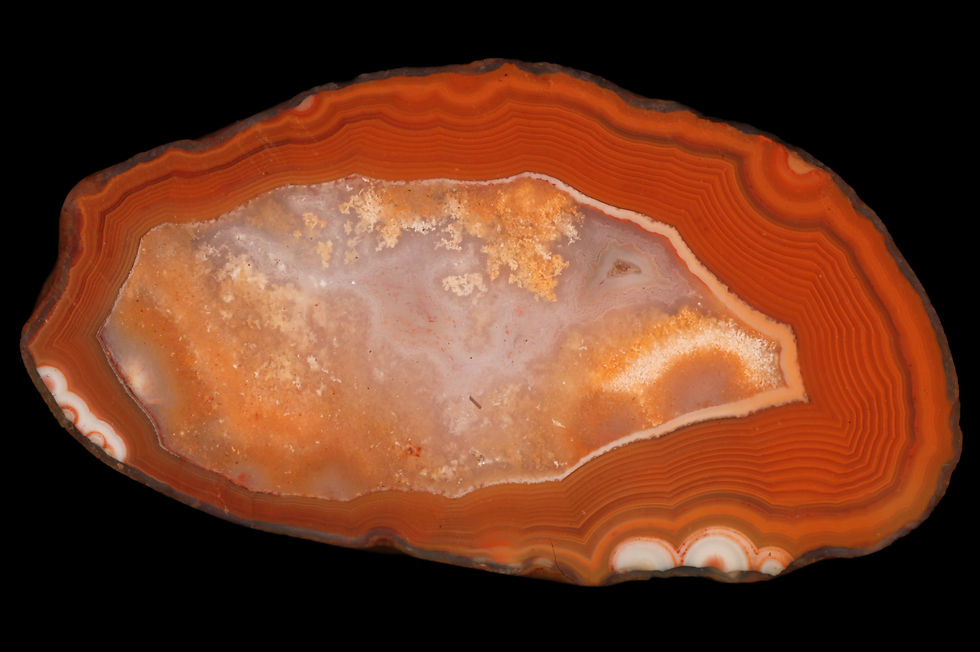 Angus sagenitic centre 001 (1).jpeg