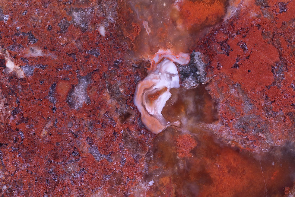 IMG_2300-Edit wix.JPG