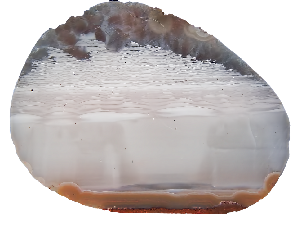 PB100253.png