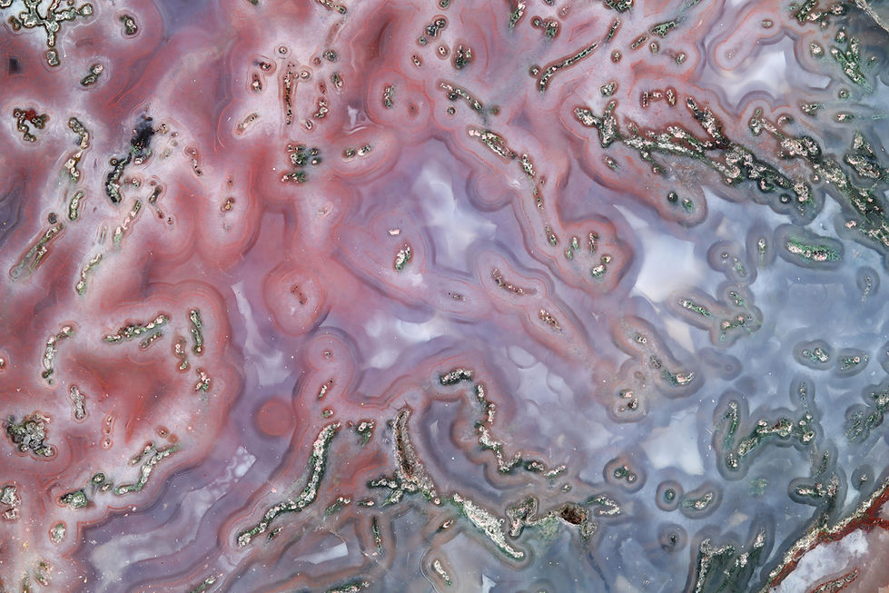 JL Tayport. 01a Edit-9.jpg