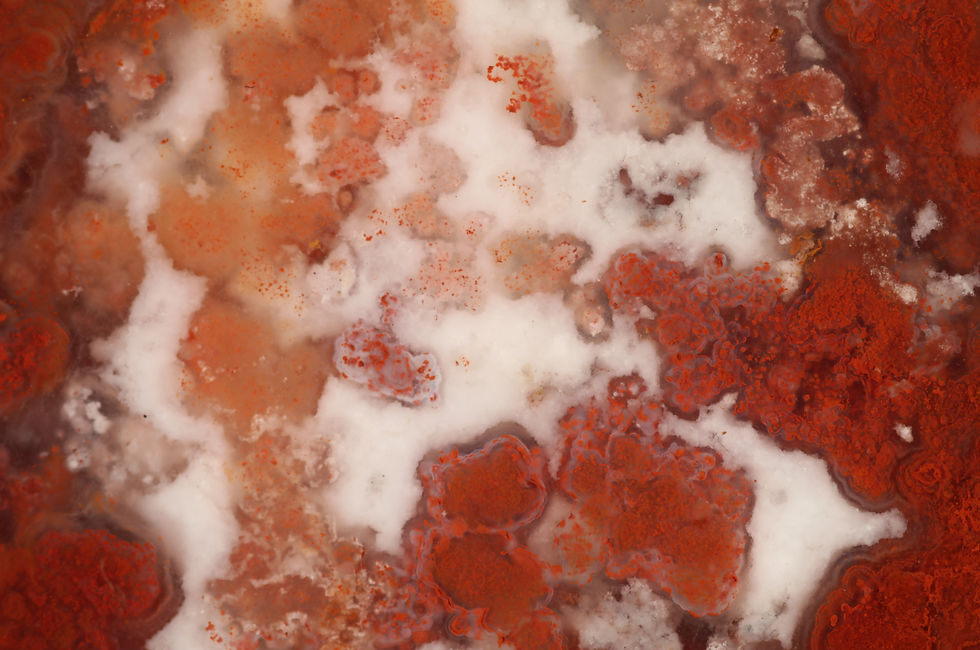 IMG_0006 (9) (1).JPG