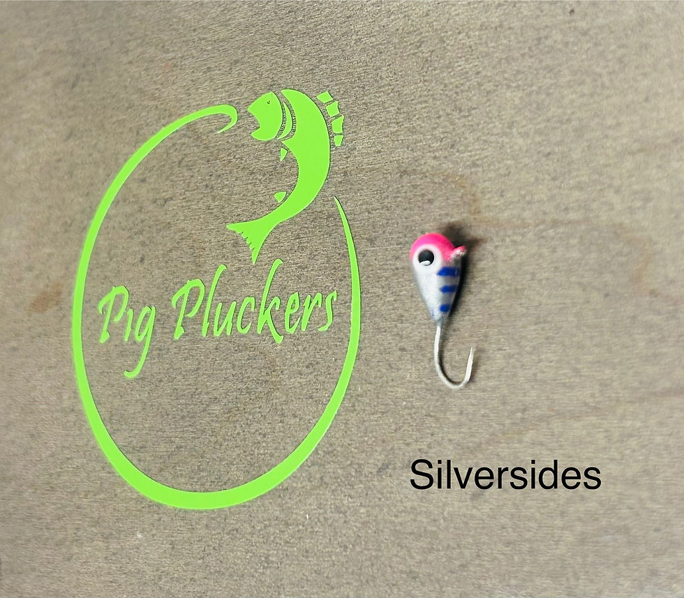 Thumbnail: Silversides 