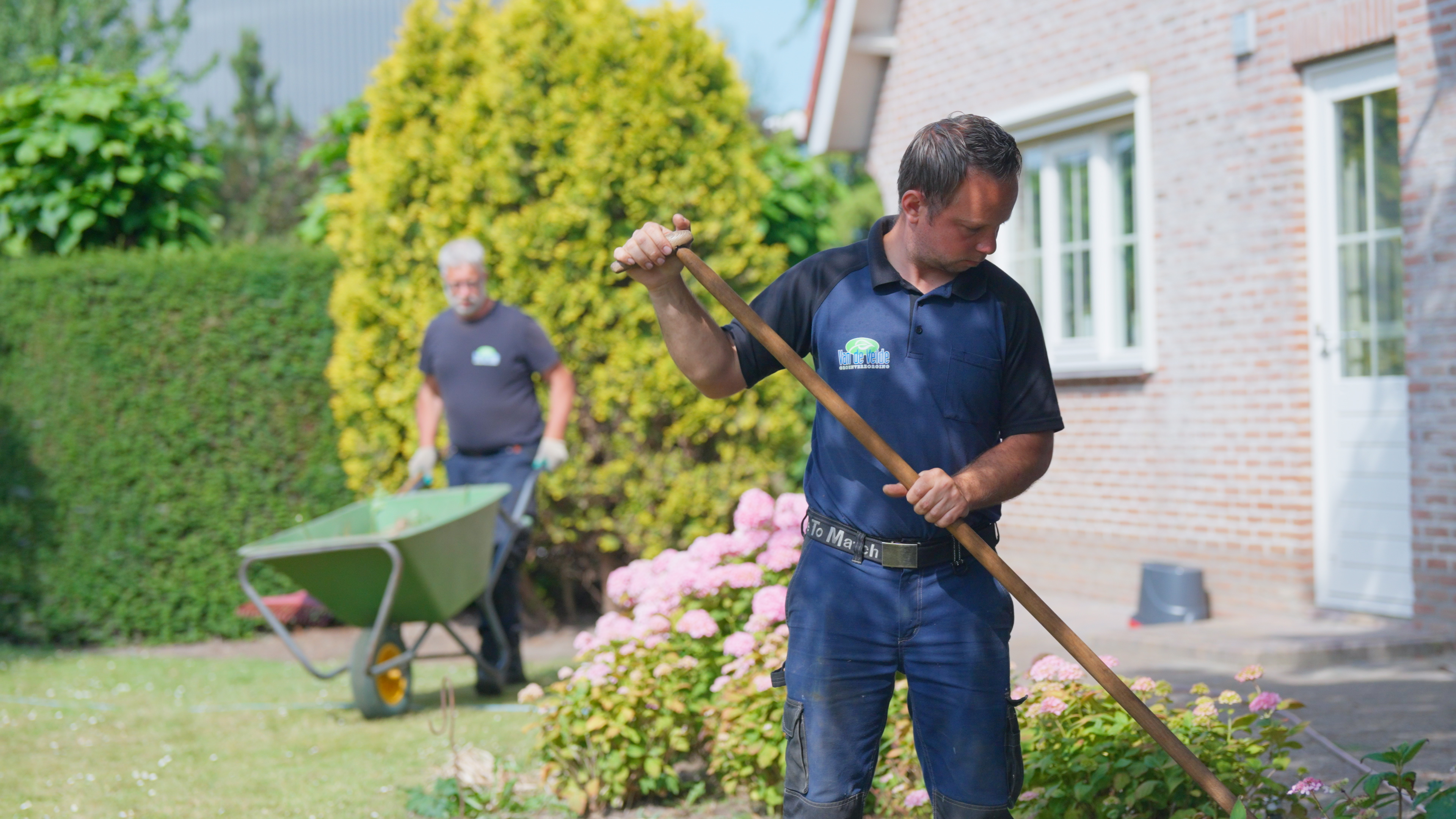 Van de Velde Groenverzorging