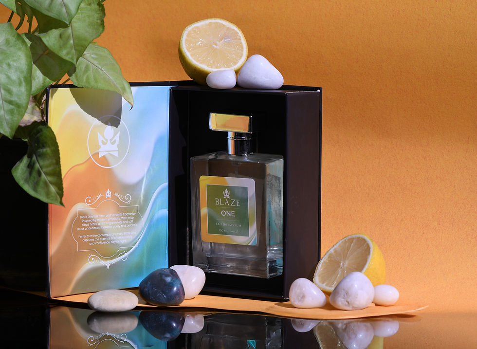 Blaze ONE.jpg