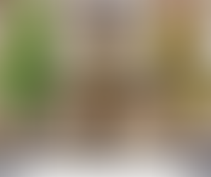 Orozkoko Museoak eta Gorbeiako Turismo Bulegoak aurrez aurreko arreta eten egingo dute martxoaren 2tik aurrera, hobekuntza obrak direla eta