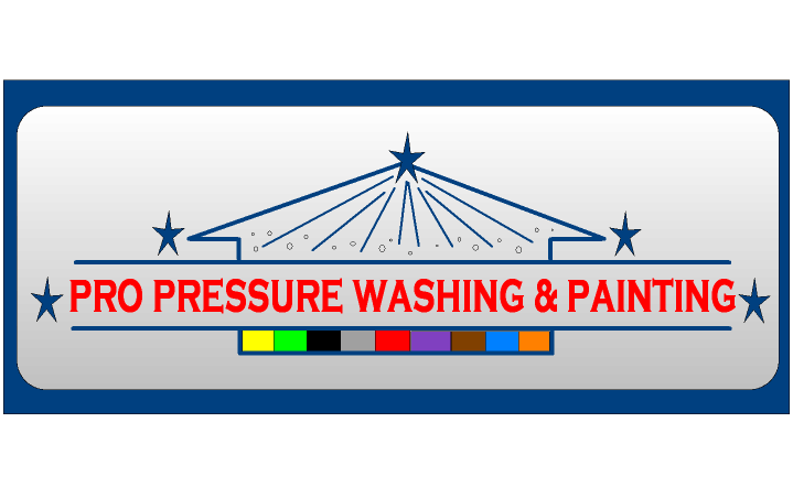 pro pressure washing and painting logo