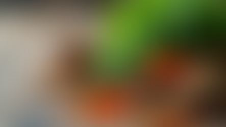 Harnessing Nature: Natural Health Solutions for Better Wellbeing