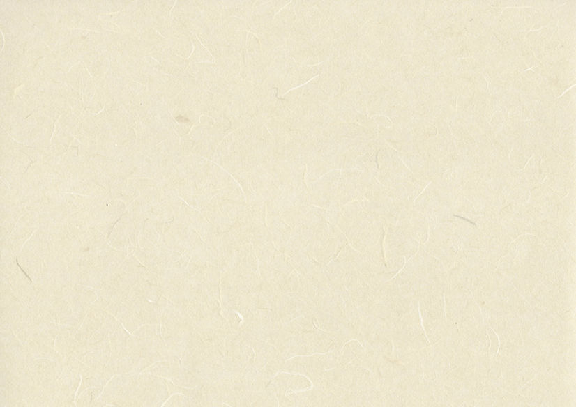 Website Background.jpg