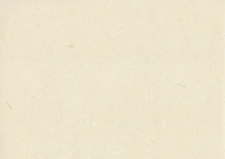 Website Background.jpg
