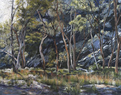 Brachina Gorge 2010 SOLD