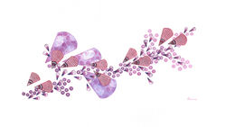 Pink Scatter Fans 2011