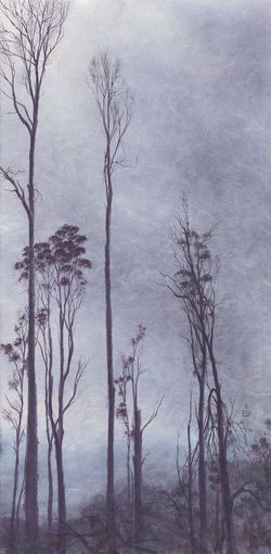 ‘New view of the valley from Mathias Track’ 2022 SOLD