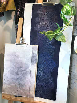 Emma Jennings Gallery Sassafras