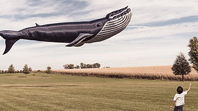 A Small boy with a whale balloon