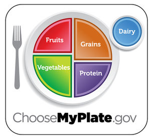 The Idea of “Healthy Eating”
