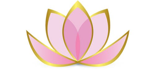 logotipo www.mentalwellnessfl.com