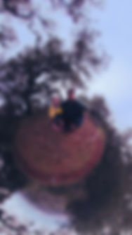 fullsizeoutput_3a80.jpeg