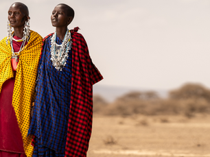 Positioning South African Tech SMEs to Solve Distribution Challenges Under AfCFTA