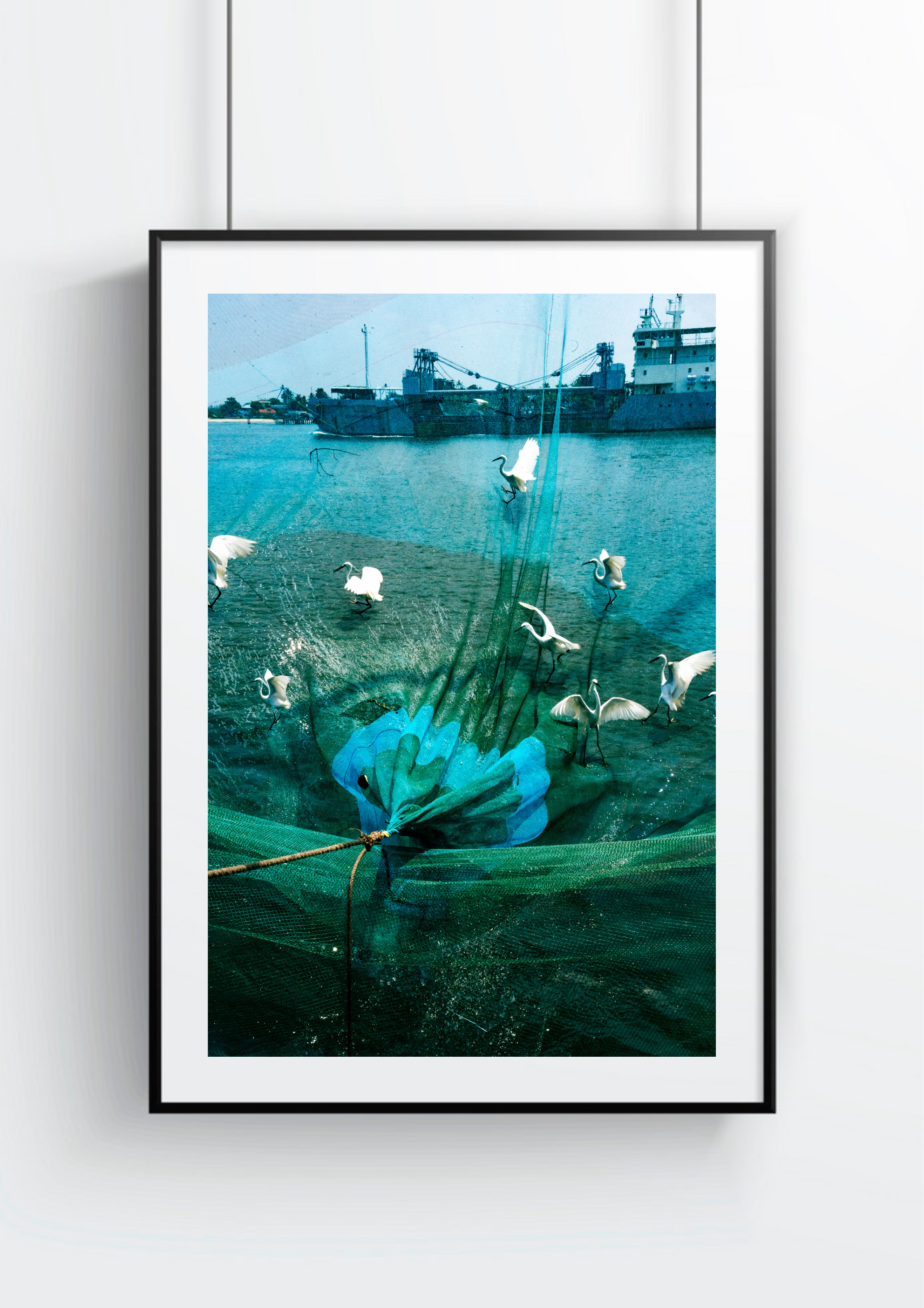 Sri Lanka - Jour de pêche 