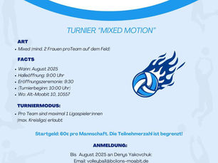 Volleyball-Turniere im Sommer bei BC Lions