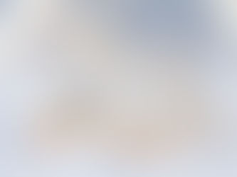 2026 ring trends collection showcasing modern engagement styles. The image features a selection of 14K yellow gold rings with white gold prongs, highlighting popular diamond shapes for 2026—including round, oval, pear, and princess cuts—set in solitaire and pavé bands that blend timeless elegance with contemporary design.