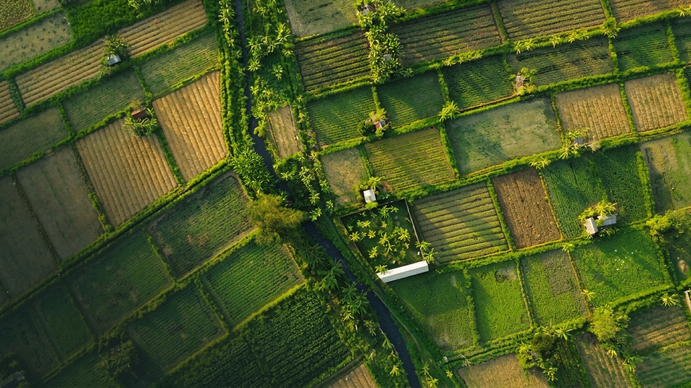 Counselr. property lawyers rural land