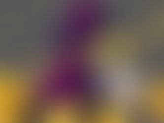 2025-11-21 成報專欄《真金白銀》金價角力 靜待非農