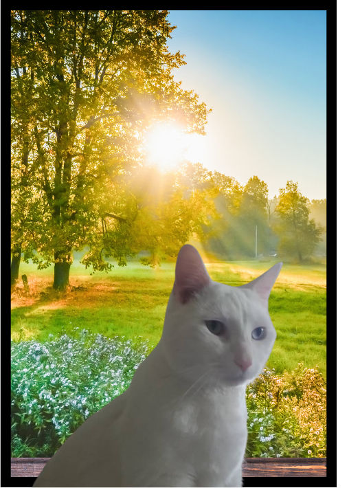 White cat sits by a window, overlooking a sunlit green meadow with trees. The morning light casts a warm glow, creating a serene mood.