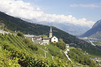 IMG_1675.jpeg