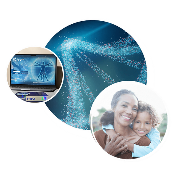 imaet-bioenergetic-software-2.png