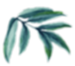 feuille