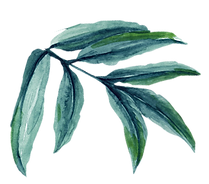 feuille