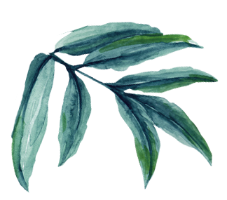 Acuarela Hojas Verdes
