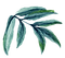 葉