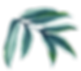 Watercolor Green Leaves