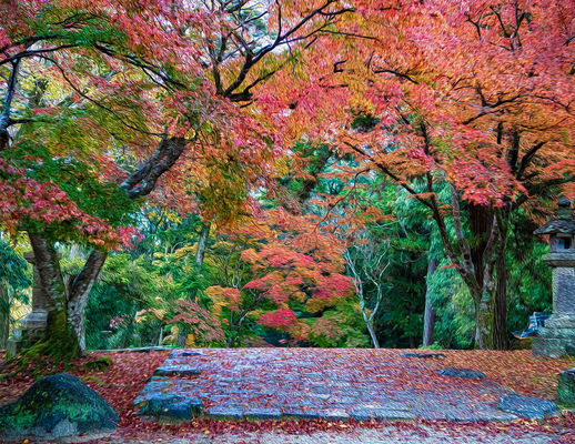 28奈良公園３ のコピー のコピー.jpg
